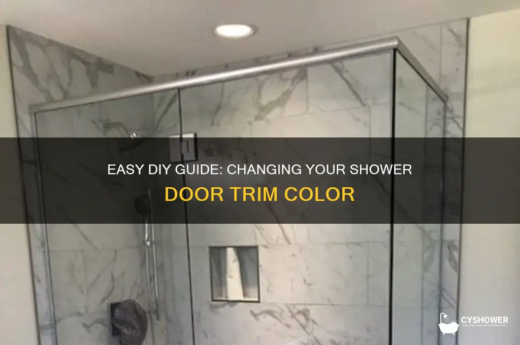 how to change color of shower door trim