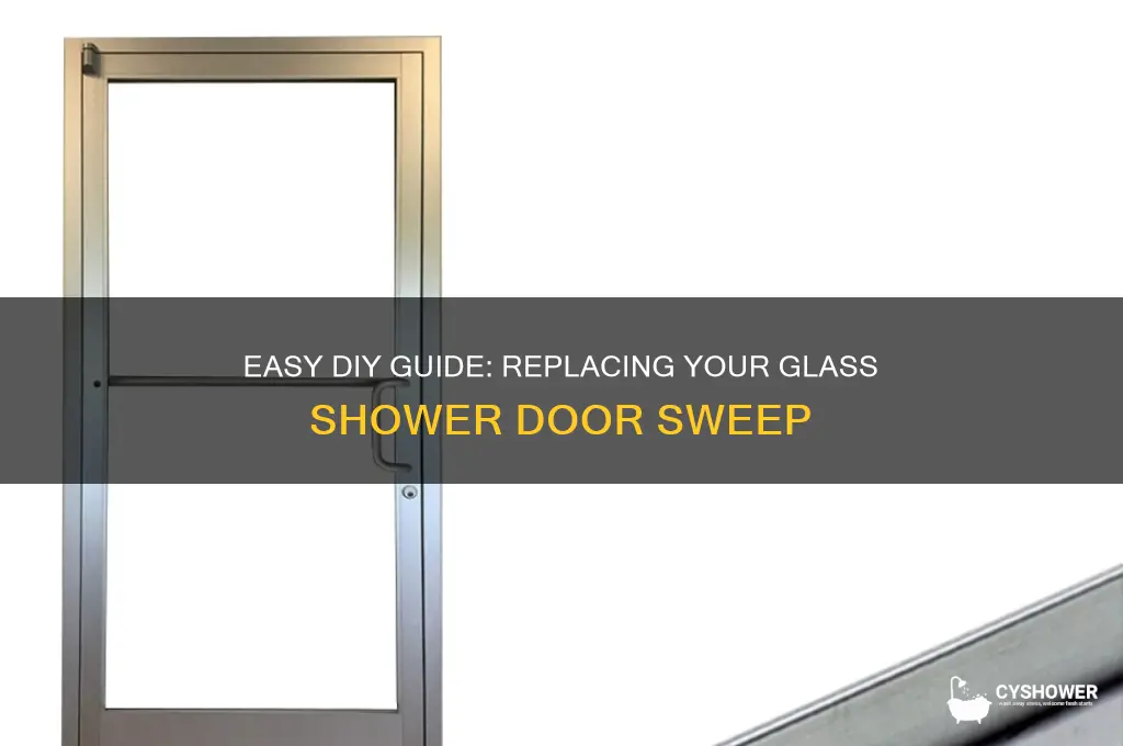 how to change glass shower door sweep