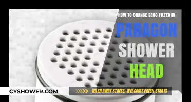 Easy Steps to Replace SFRC Filter in Paragon Shower Head