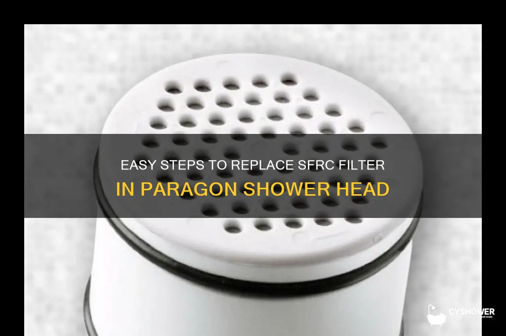 how to change sfrc filter in paragon shower head