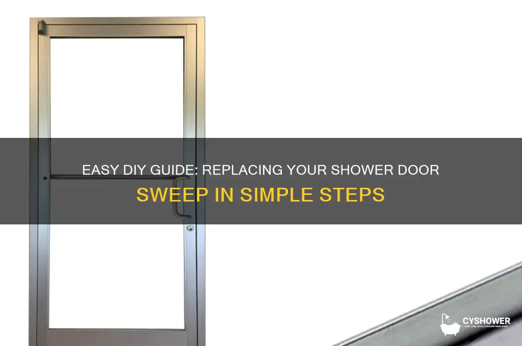 how to change shower door sweep