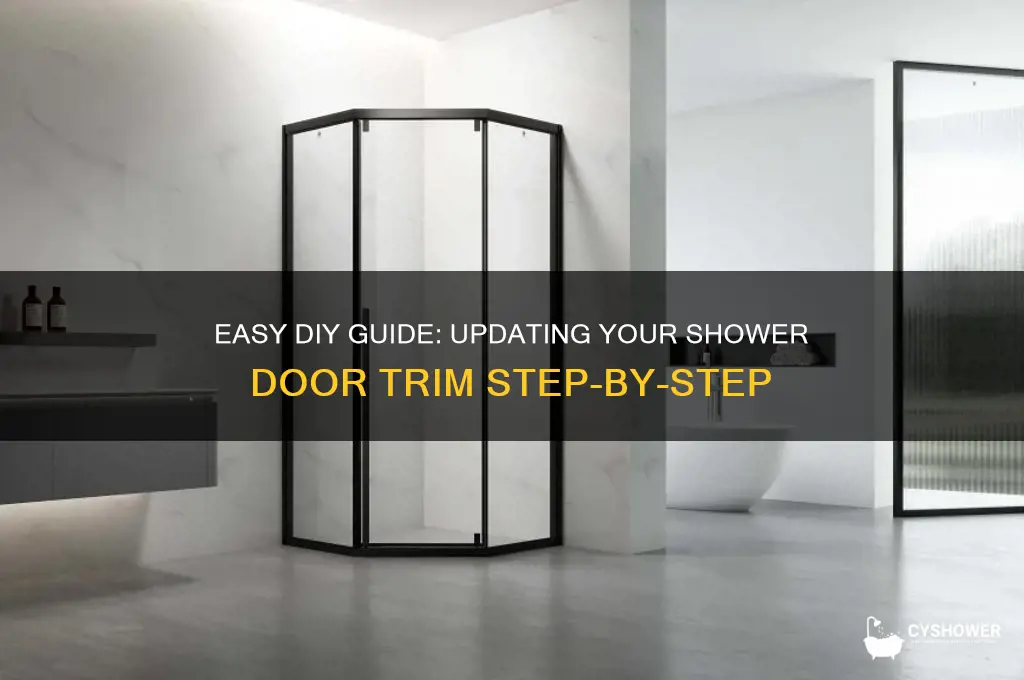 how to change shower door trim