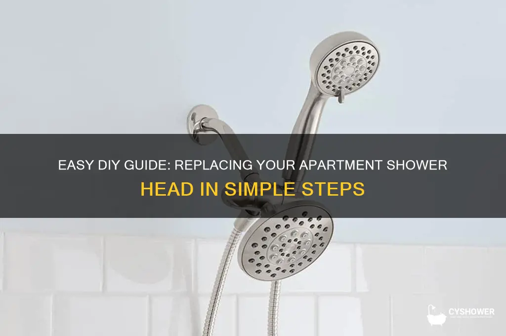 how to change shower head in apartment