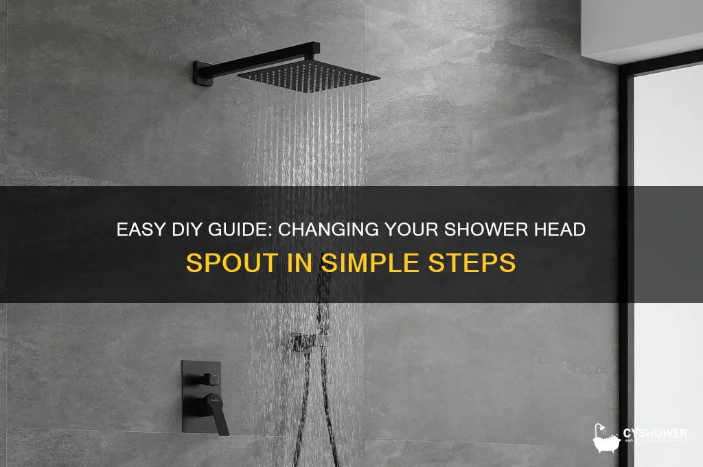 how to change shower head spout