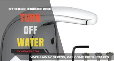 Quick Fix: Change Your Shower Knob Without Turning Off Water