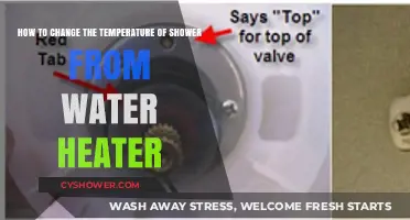 Adjusting Your Water Heater for the Perfect Shower Temperature