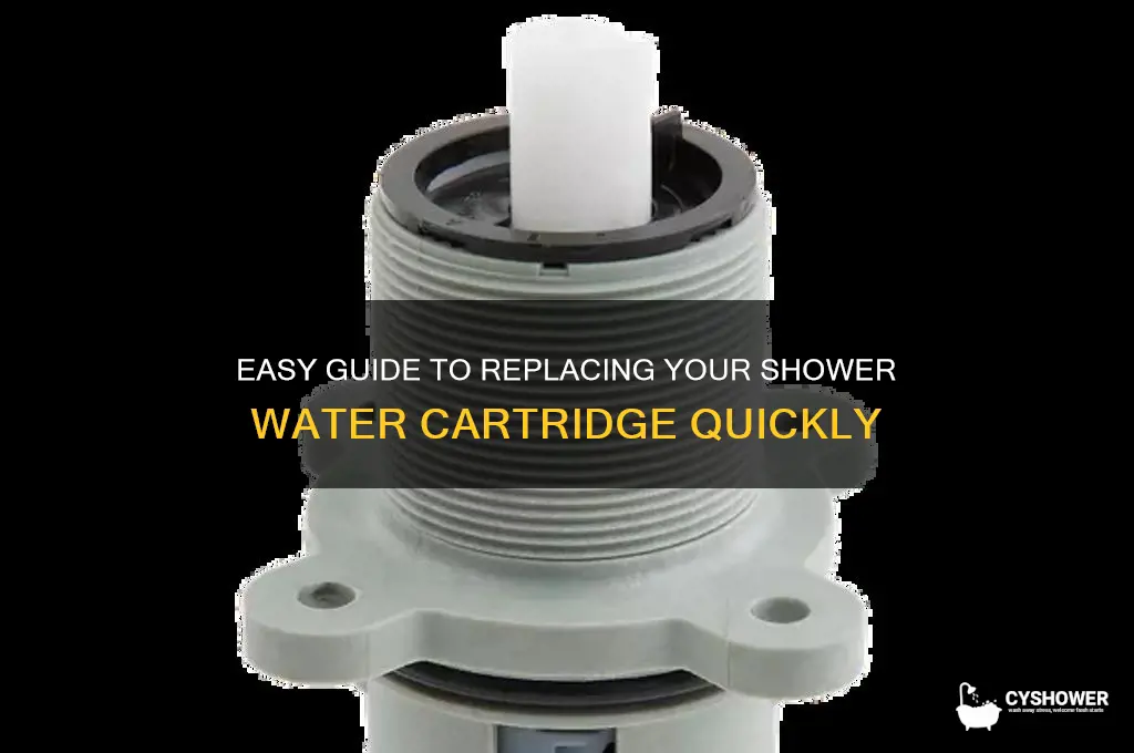 how to change water cartridge in shower