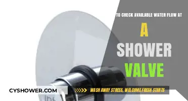 Easy Guide to Measuring Water Flow at Your Shower Valve