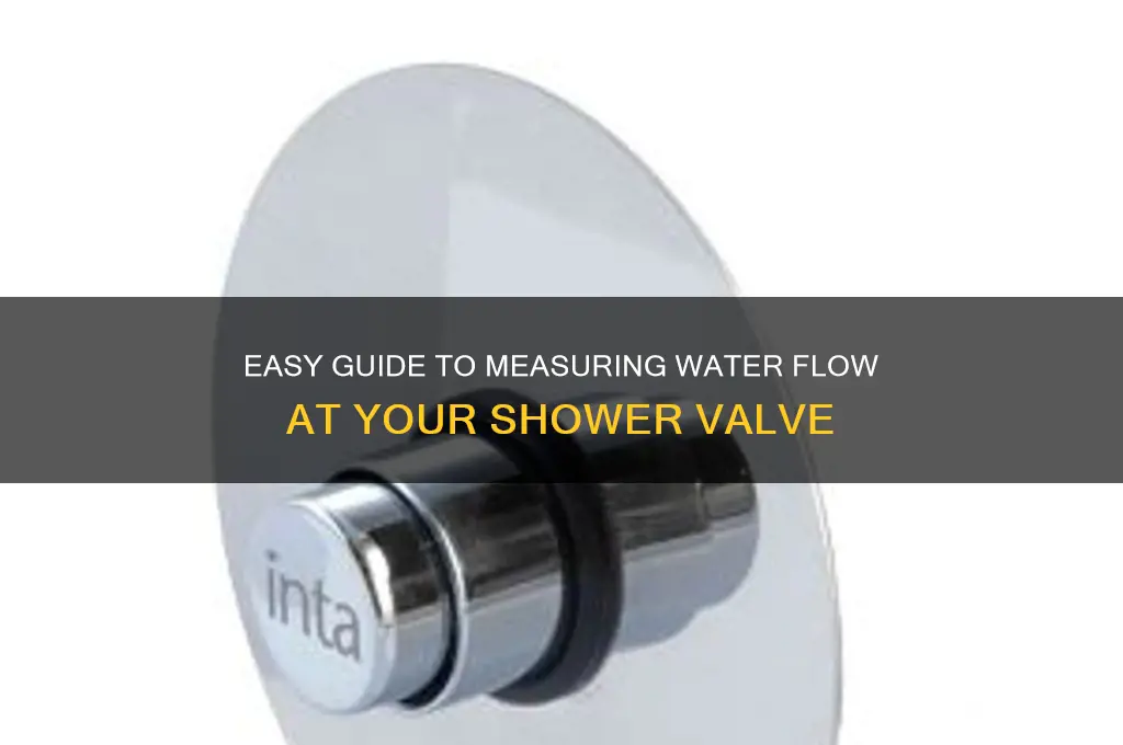 how to check available water flow at a shower valve
