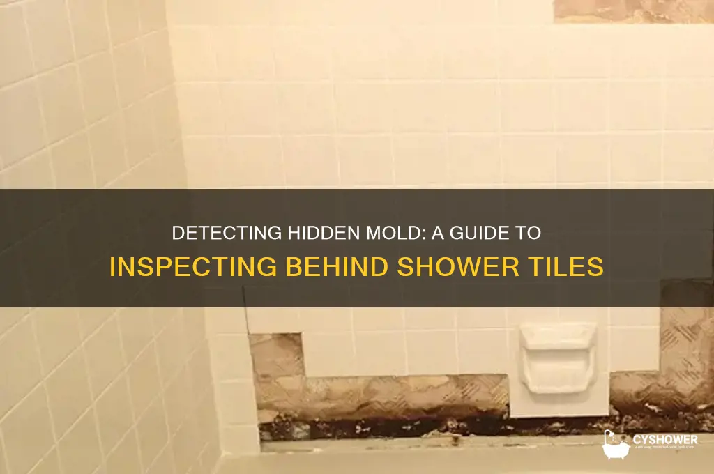how to check for mold behind shower tile