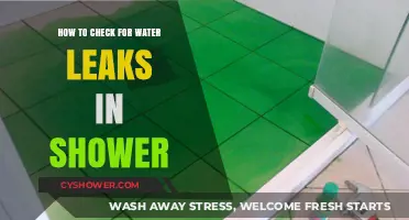 Detecting Shower Water Leaks: A Step-by-Step Guide to Early Detection