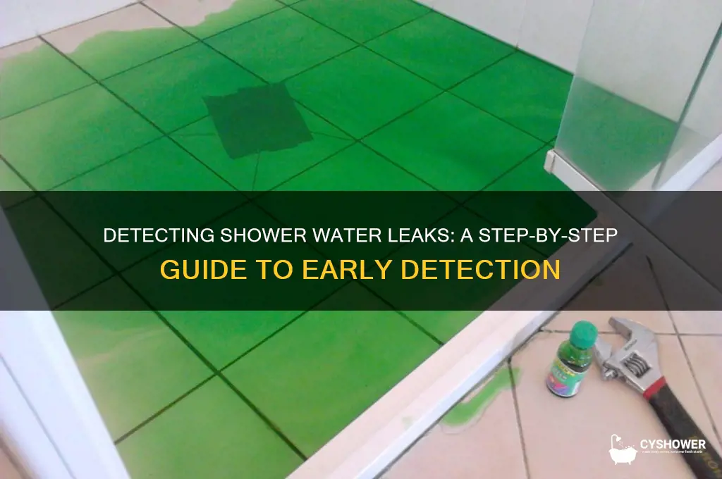 how to check for water leaks in shower