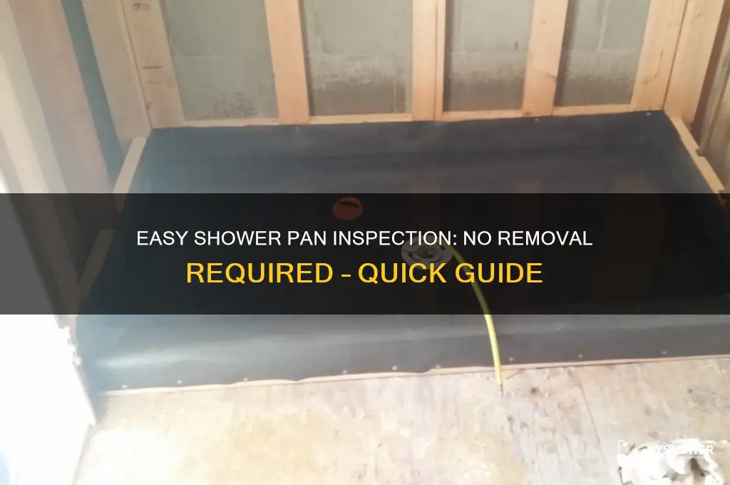 how to check pan without removing shower