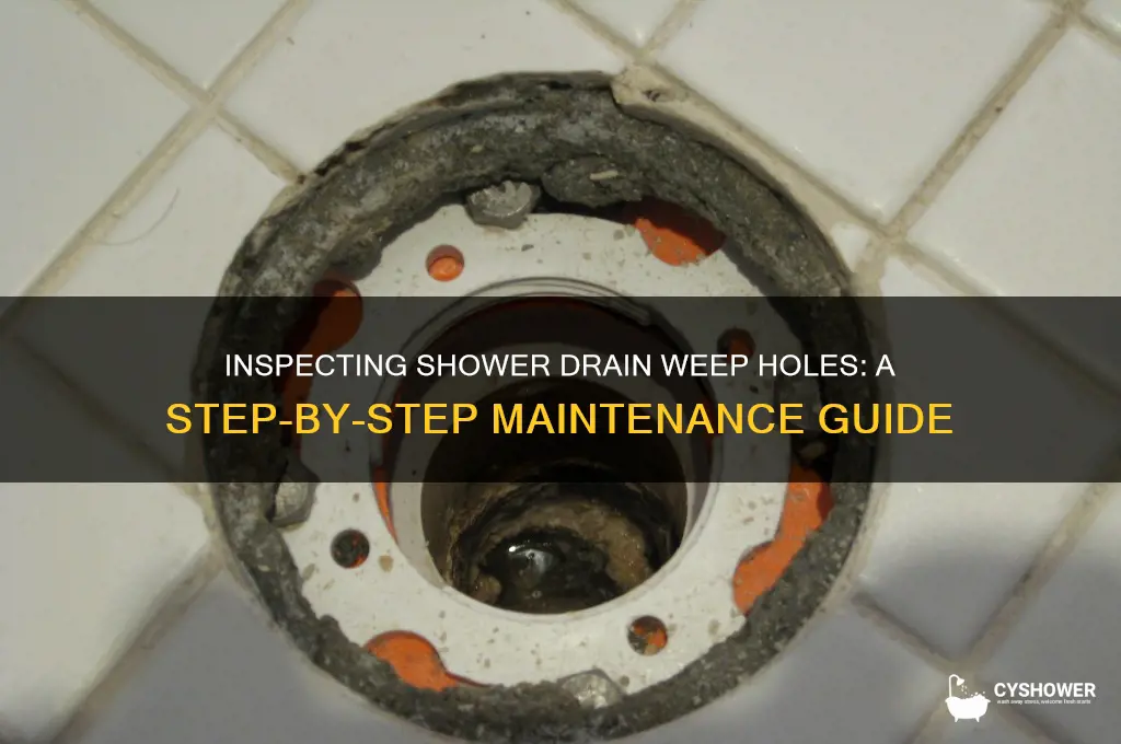 how to check shower drain weep holes