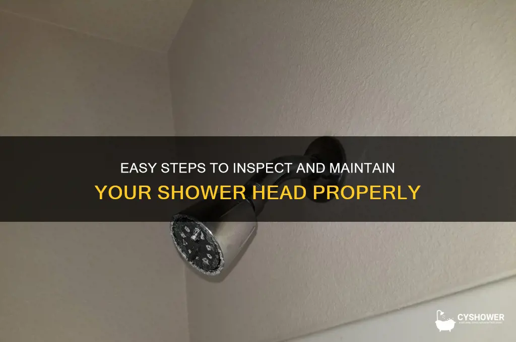 how to check shower head