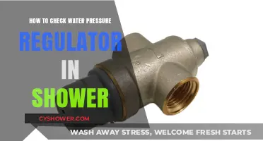 Easy Steps to Check Your Shower's Water Pressure Regulator
