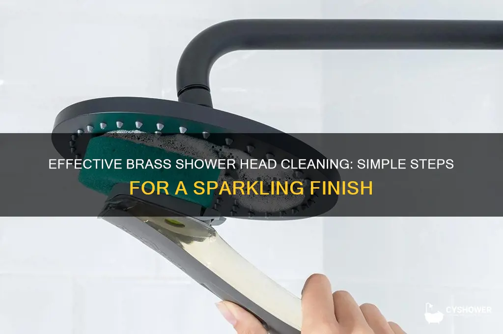 how to clean a brass shower head