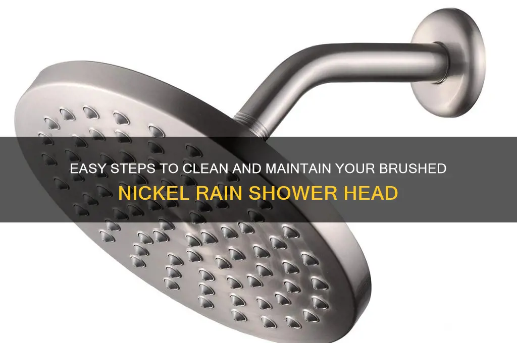 how to clean a brushed nickel rain shower head