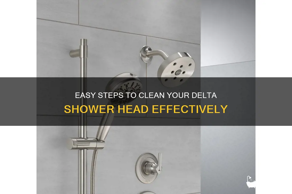 how to clean a delta shower head