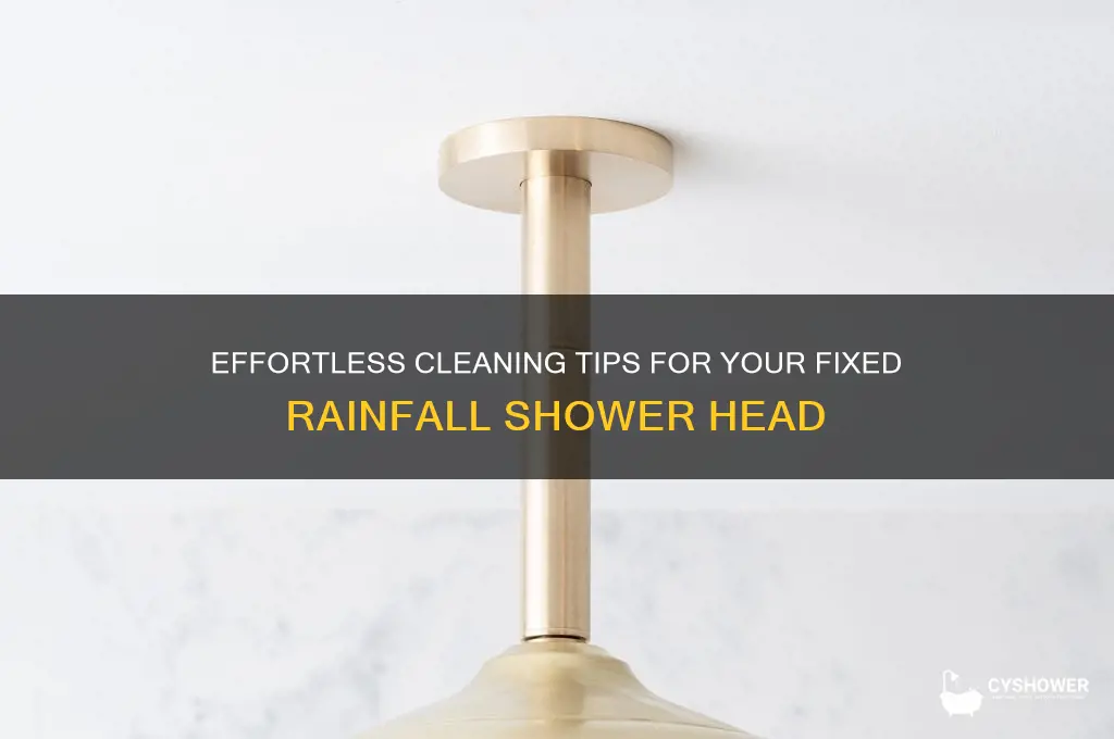 how to clean a fixed rainfall shower head