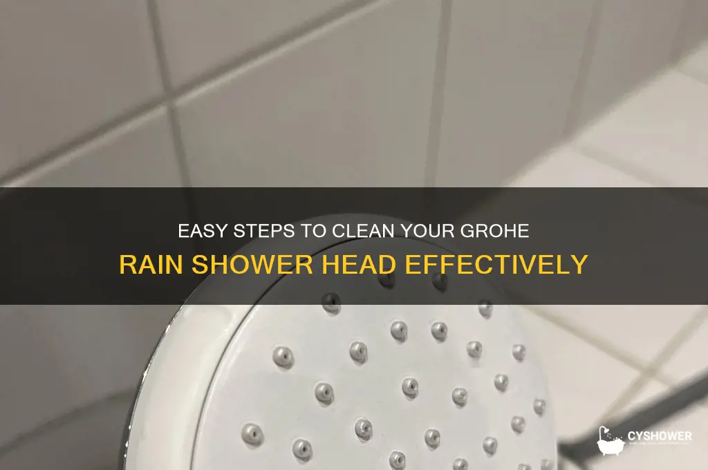 how to clean a grohe rain shower head