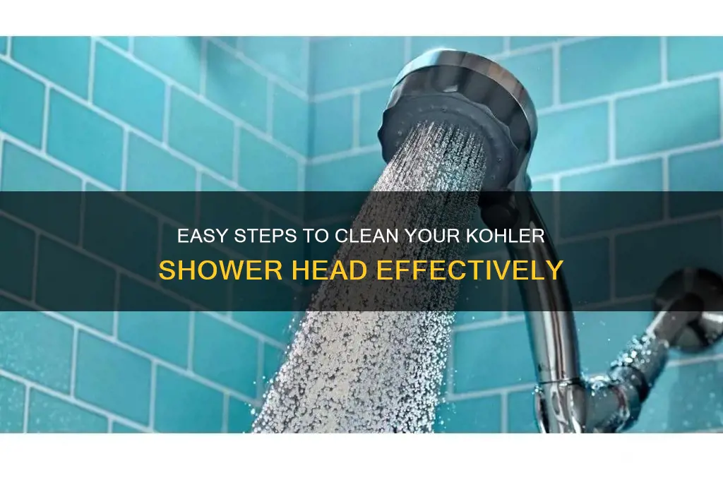 how to clean a kohler shower head