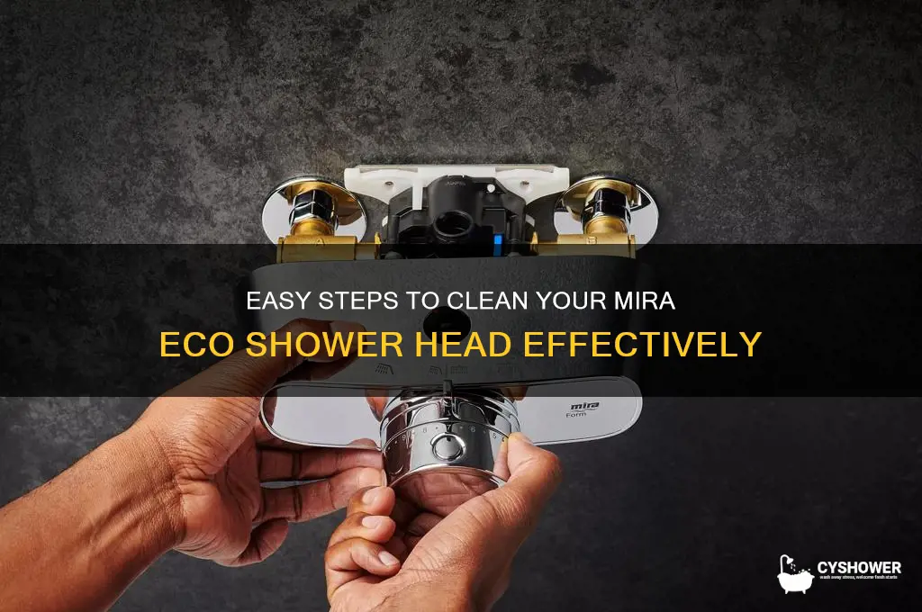 how to clean a mira eco shower head
