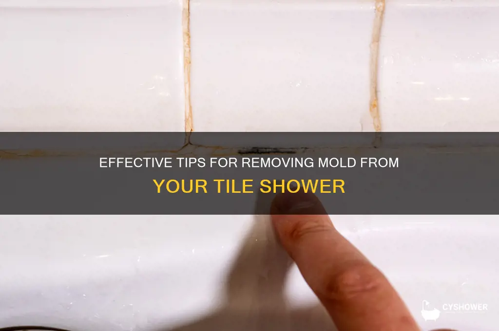 how to clean a moldy tile shower