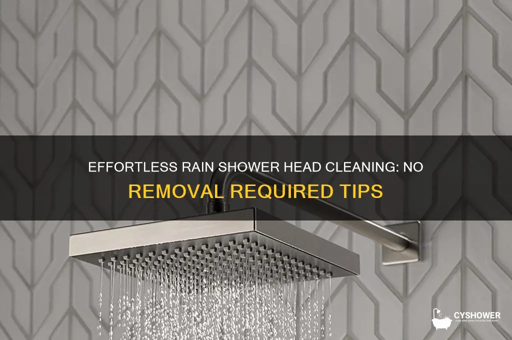 how to clean a rain shower head without removing it