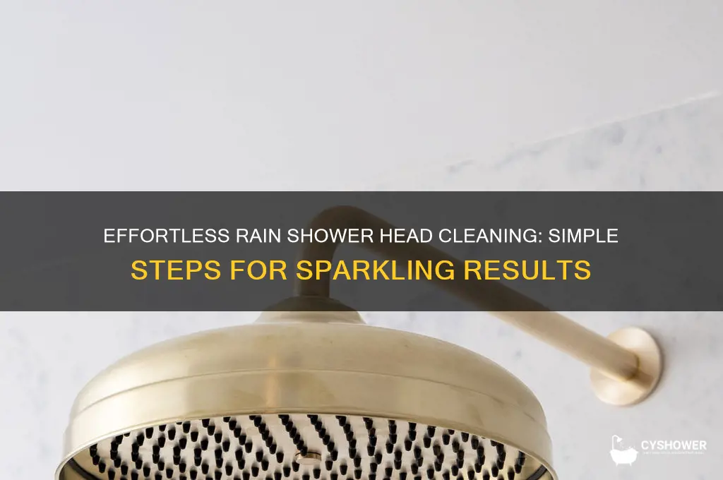 how to clean a rain shower head