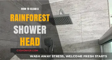 Effortless Rainforest Shower Head Cleaning: Simple Steps for Sparkling Results