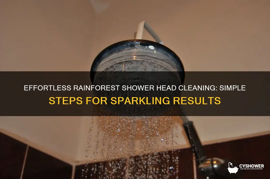 how to clean a rainforest shower head