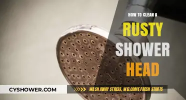 Effective DIY Methods to Clean and Restore Your Rusty Shower Head