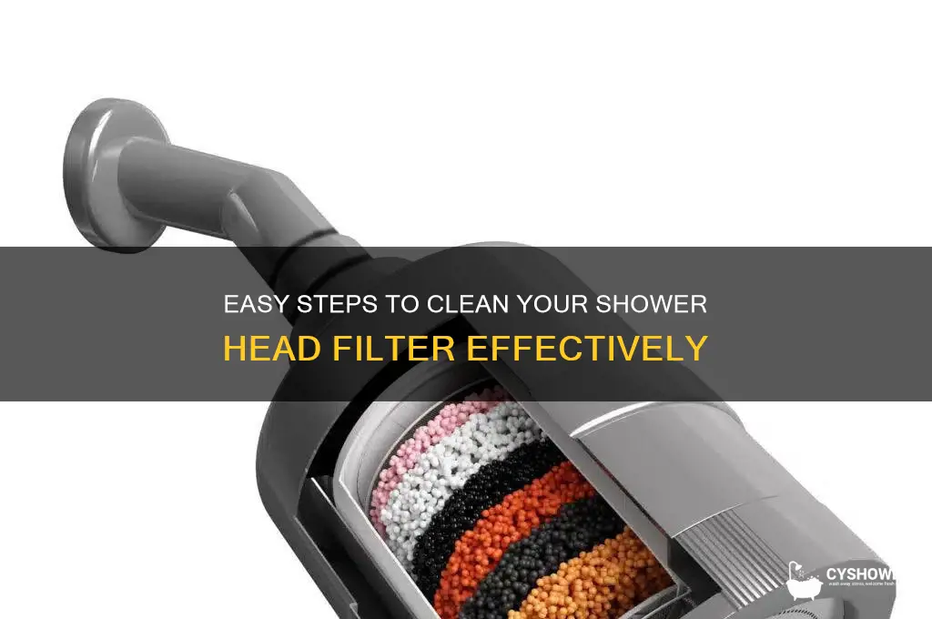 how to clean a shower head filter