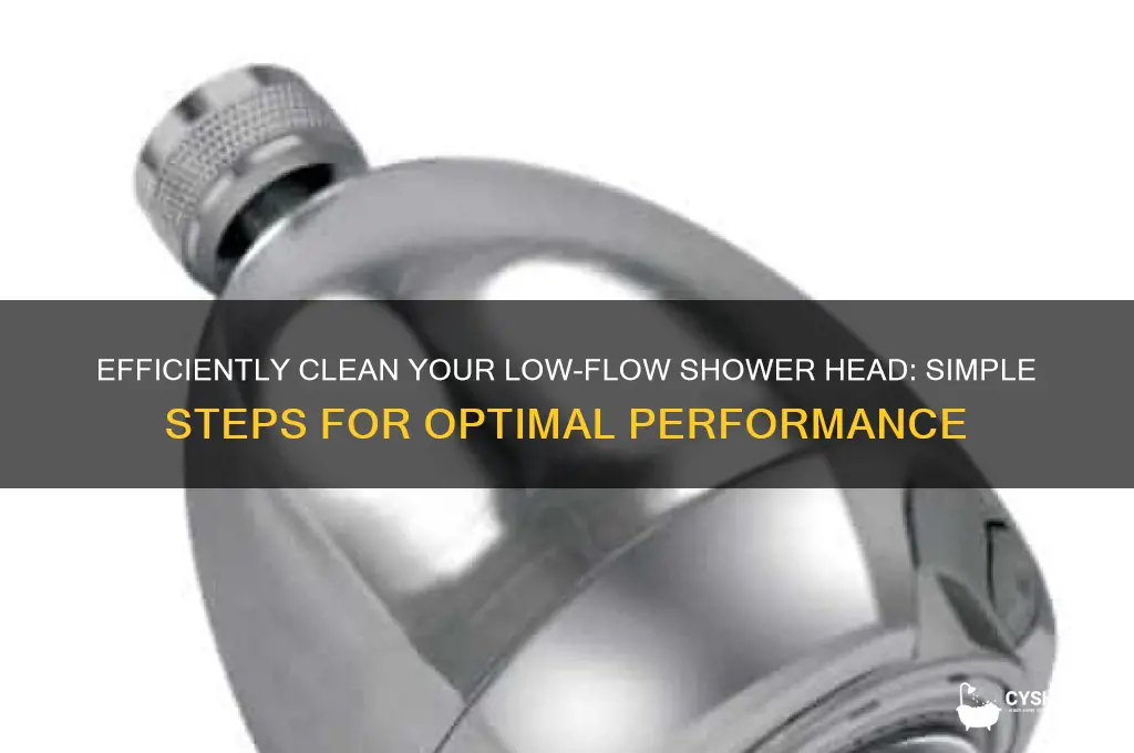 how to clean a shower head low flow