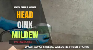 Effective Shower Head Cleaning Tips to Remove Mildew and Grime