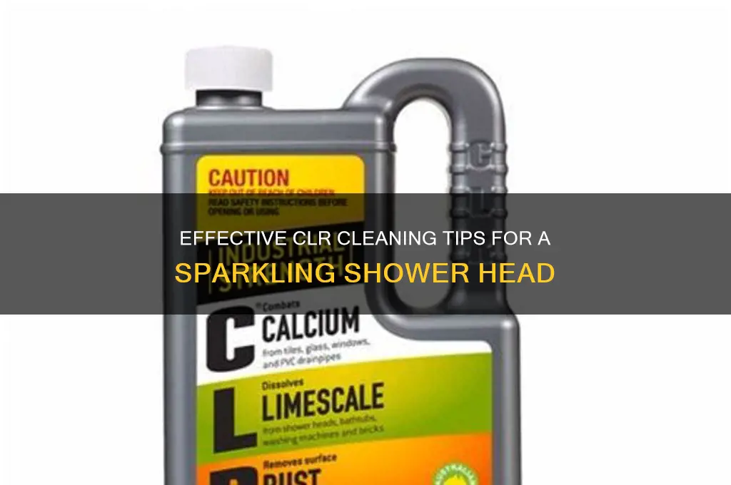 how to clean a shower head with clr