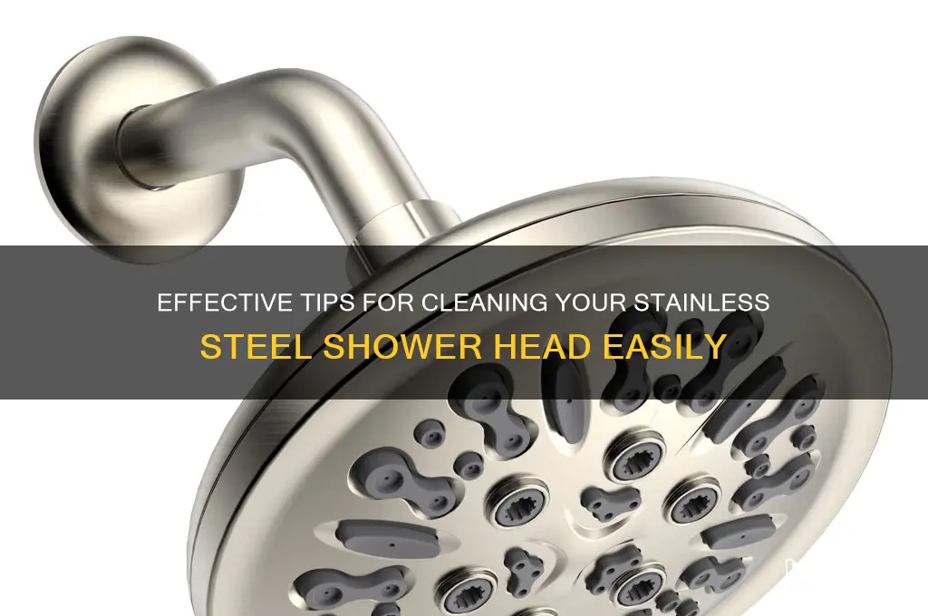 how to clean a stainless steel shower head