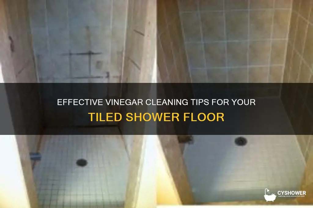 how to clean a tiled shower floor with vinegar