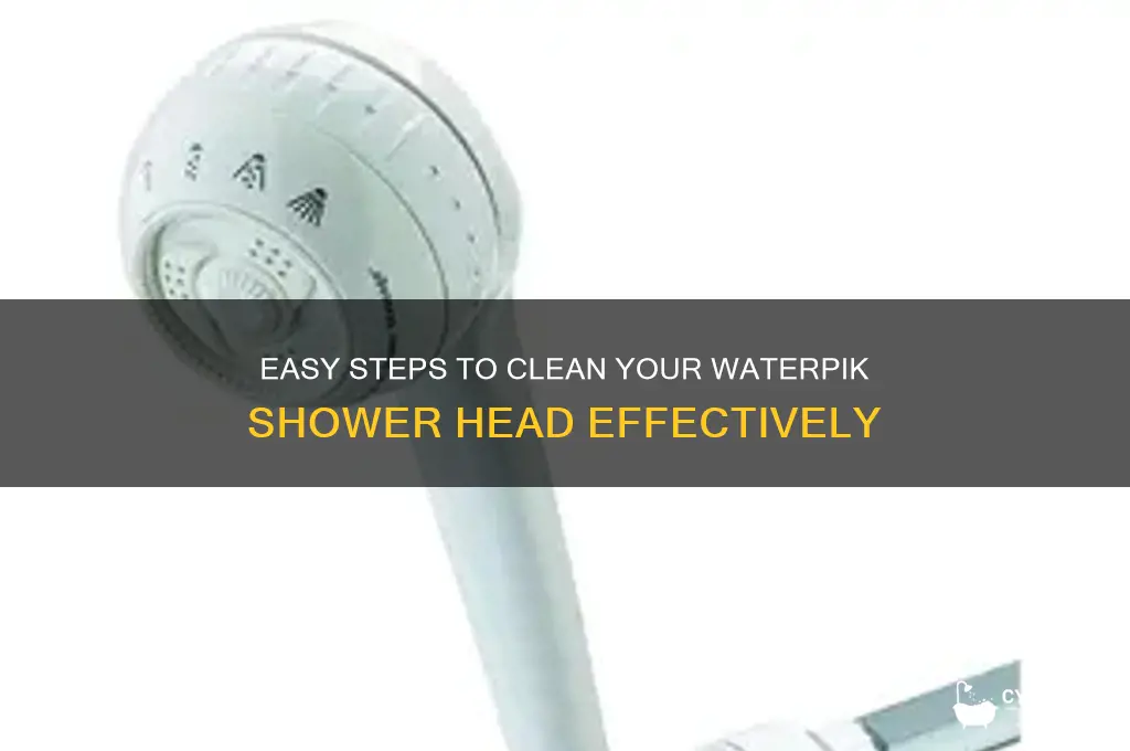 how to clean a waterpik shower head
