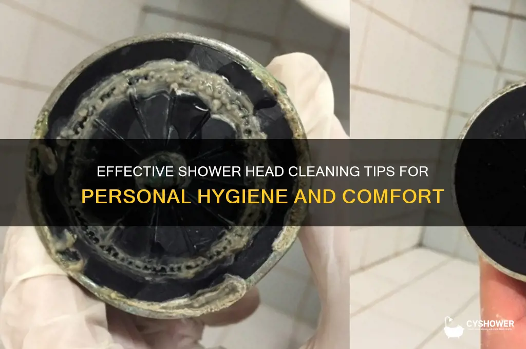 how to clean ass with a normal shower head