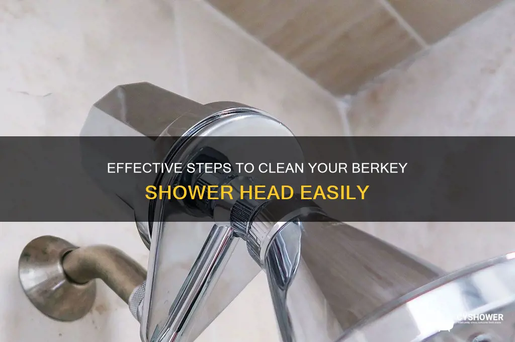 how to clean berkey shower head