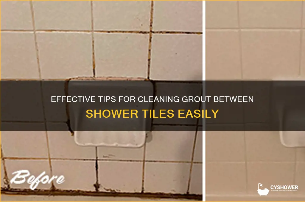 how to clean between shower tiles
