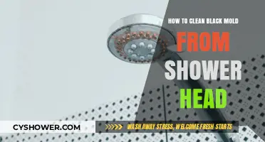 Effective Shower Head Cleaning: Removing Black Mold Safely and Easily