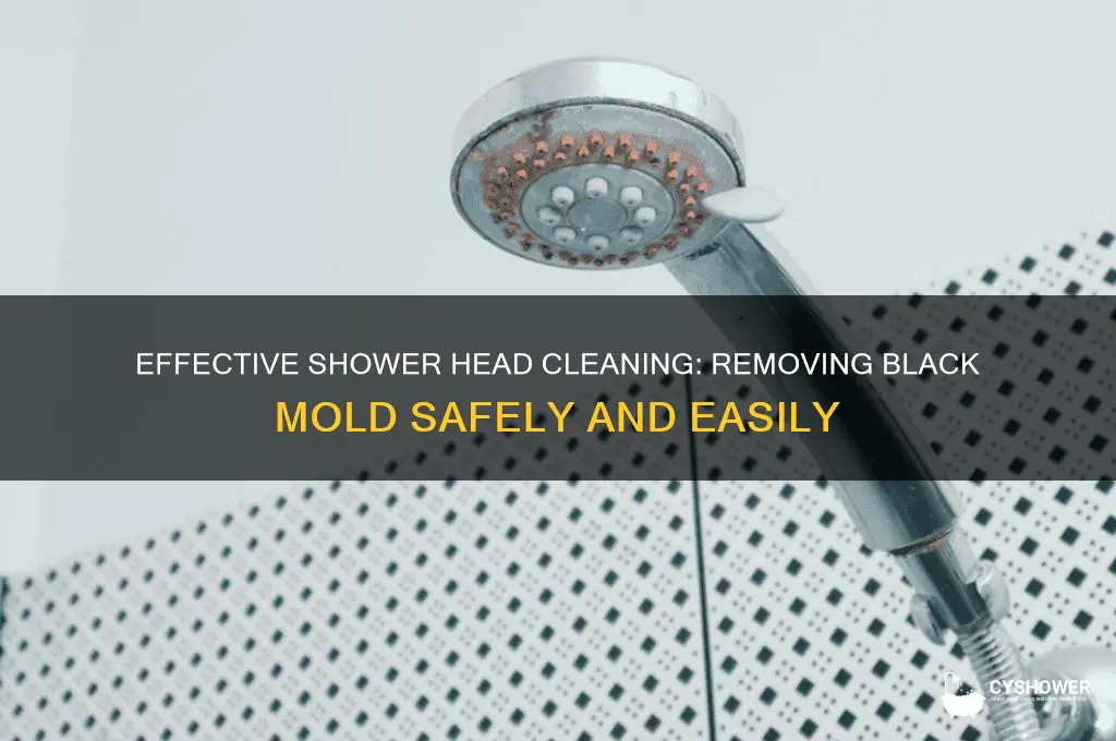 how to clean black mold from shower head