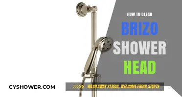 Easy Steps to Clean Your Brizo Shower Head Effectively