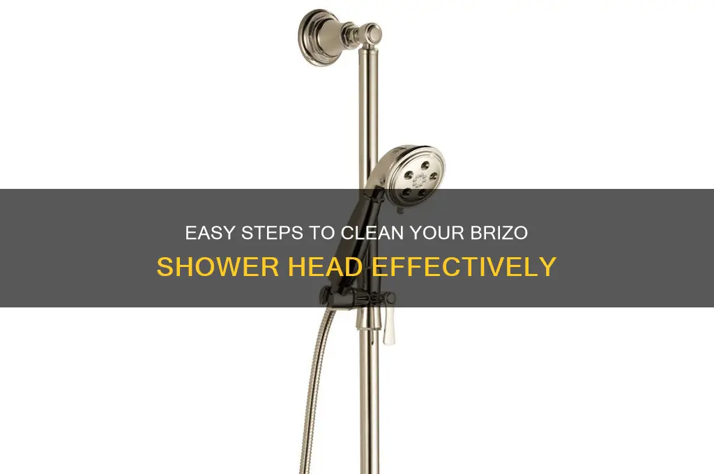 how to clean brizo shower head