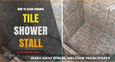 Effective Cleaning Tips for Your Ceramic Tile Shower Stall