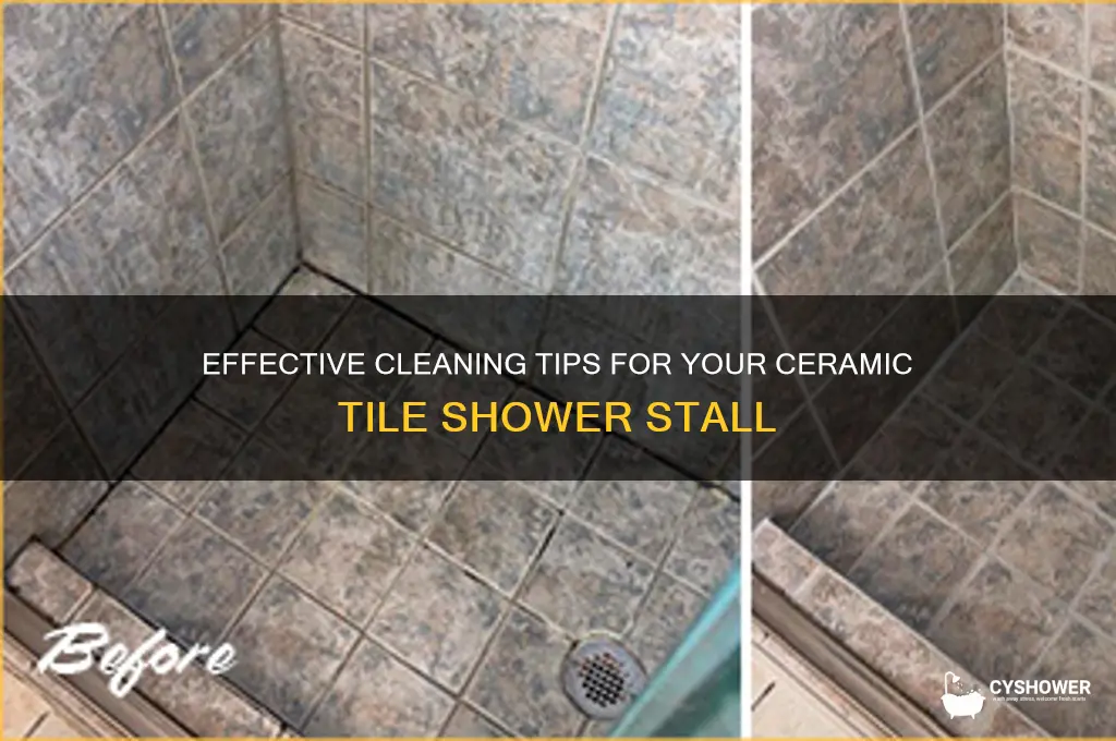how to clean ceramic tile shower stall