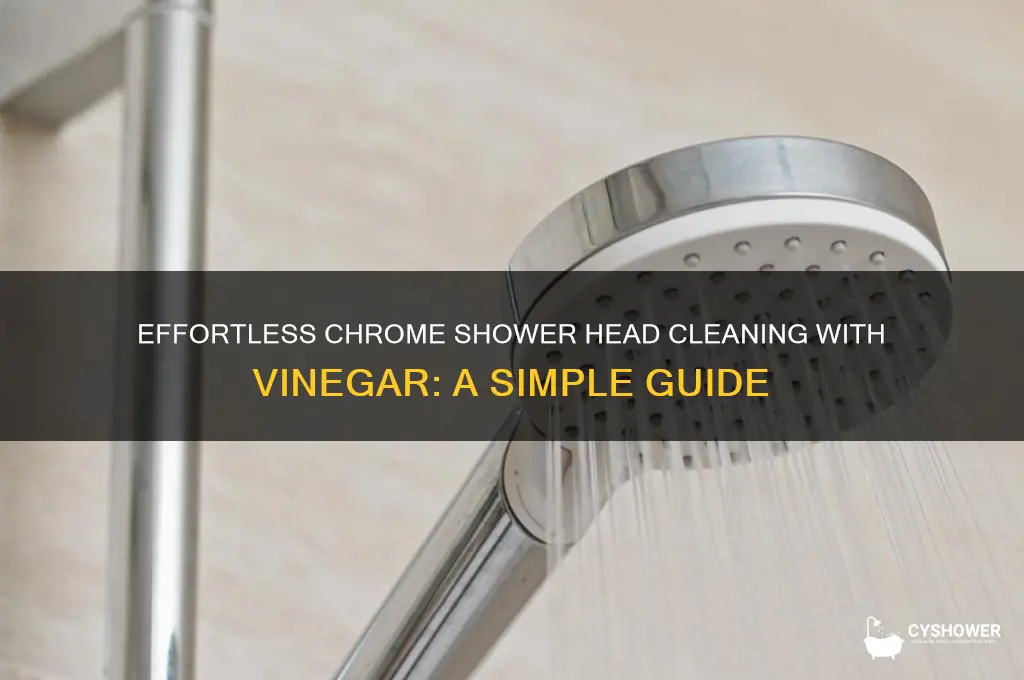how to clean chrome shower head vinegar